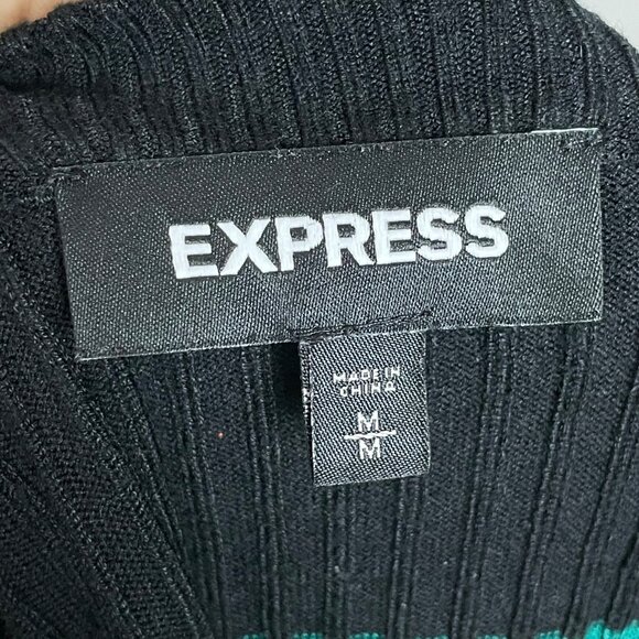 Express Ribbed Sweater Stripes Fitted Women Size Medium Teal Black Rayon Nylon - Picture 8 of 12